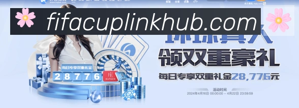 未来规划